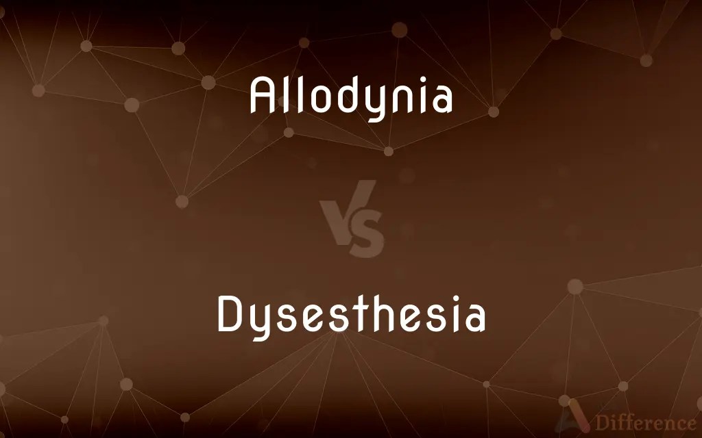 Allodynia vs. Dysesthesia — What’s the Difference?