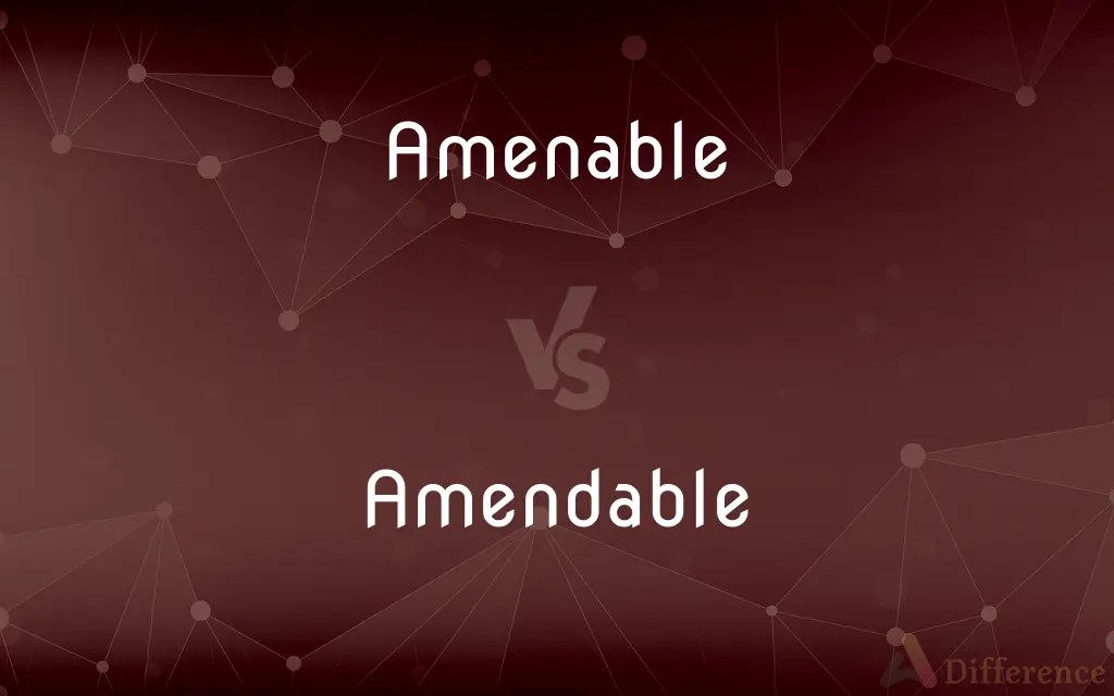 Amenable vs. Amendable — What’s the Difference?