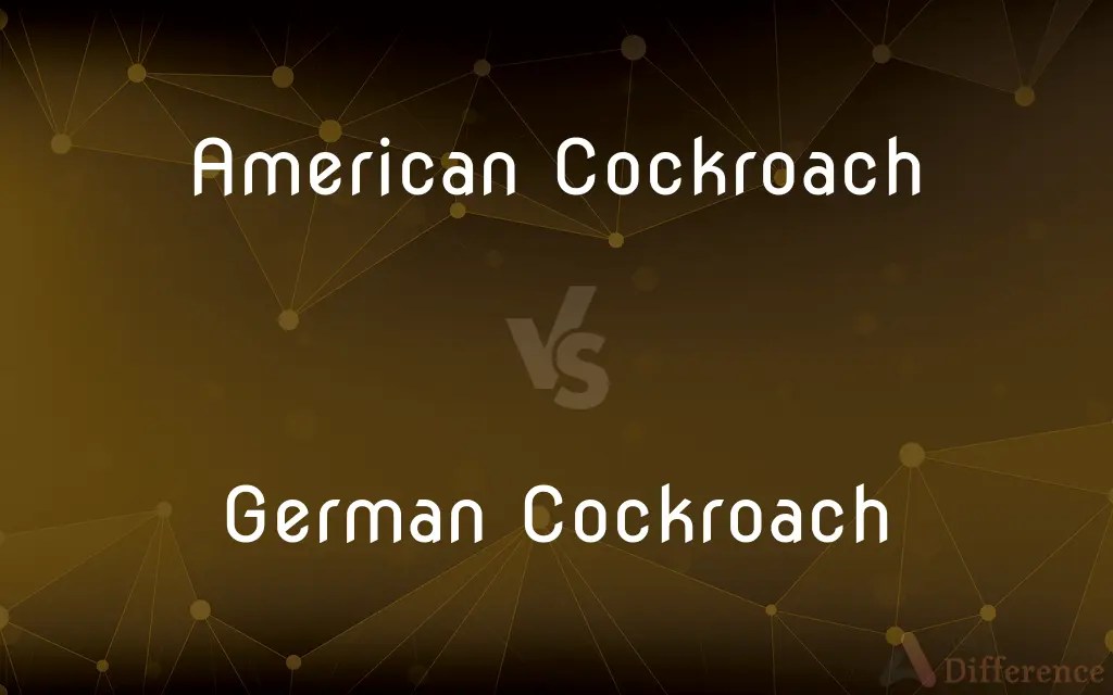 American Cockroach vs. German Cockroach — What’s the Difference?