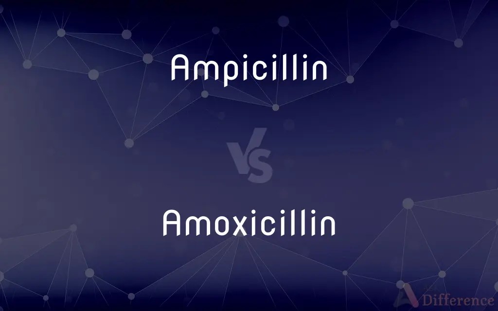 Ampicillin vs. Amoxicillin — What’s the Difference?