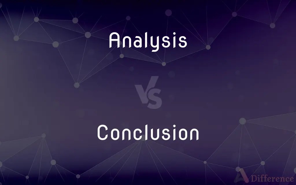 Analysis vs. Conclusion — What’s the Difference?
