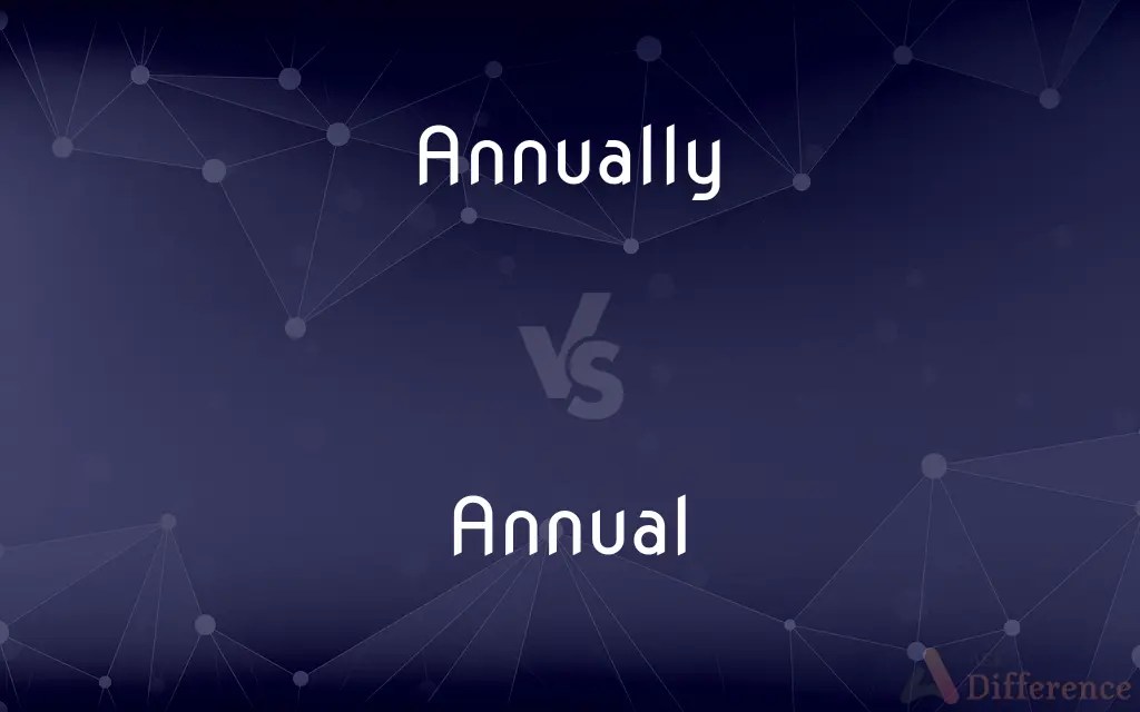 Annually vs. Annual — What’s the Difference?