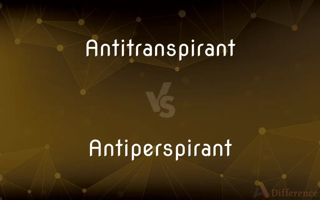 Antitranspirant vs. Antiperspirant — What’s the Difference?