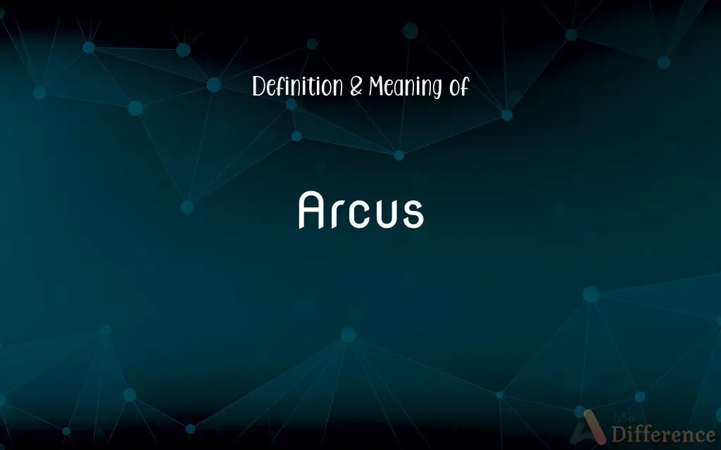 Arcus Definition and Meaning
