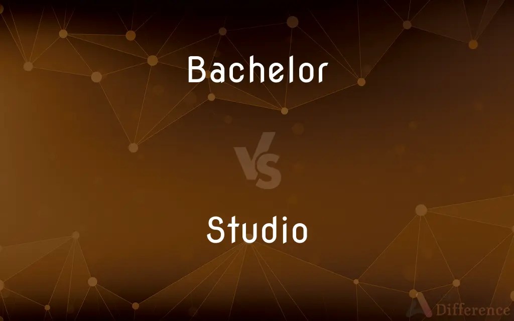 Bachelor vs. Studio — What’s the Difference?