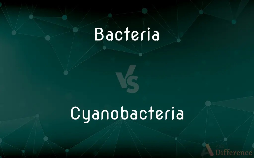 Bacteria vs. Cyanobacteria — What’s the Difference?