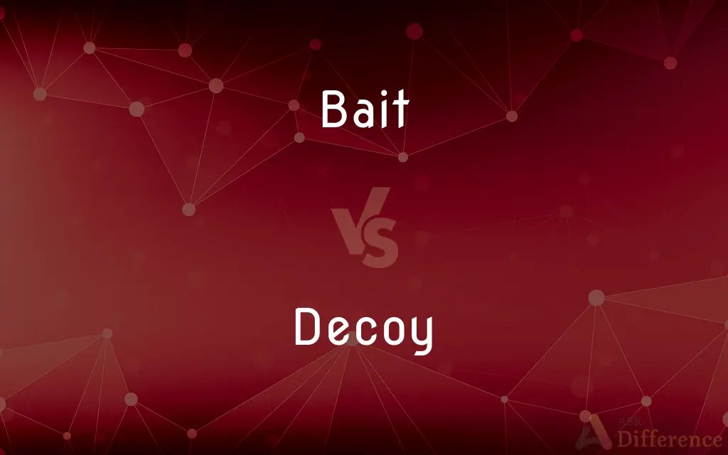 Bait vs. Decoy — What’s the Difference?