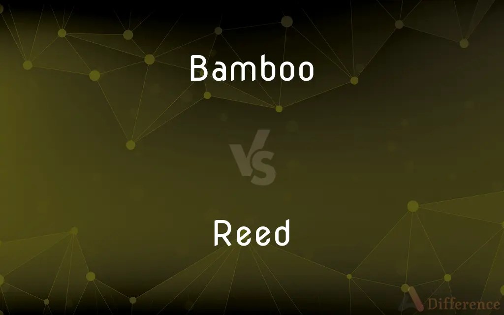 Bamboo vs. Reed — What’s the Difference?