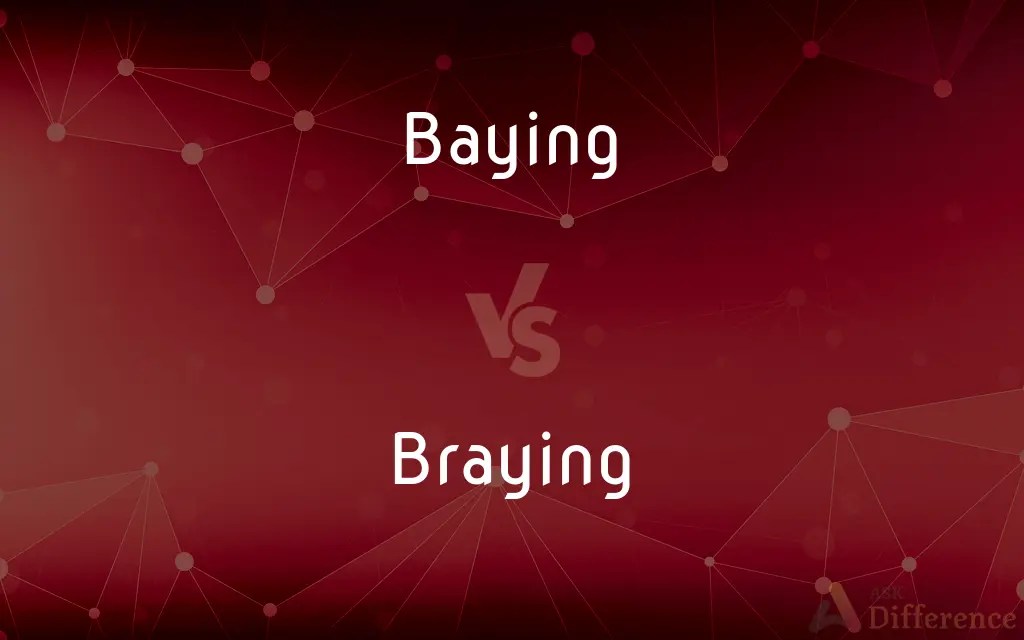 Baying vs. Braying — What’s the Difference?