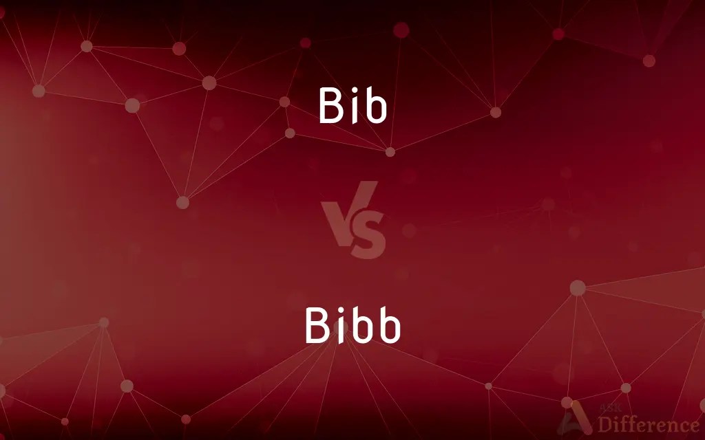 Bib vs. Bibb — What’s the Difference?