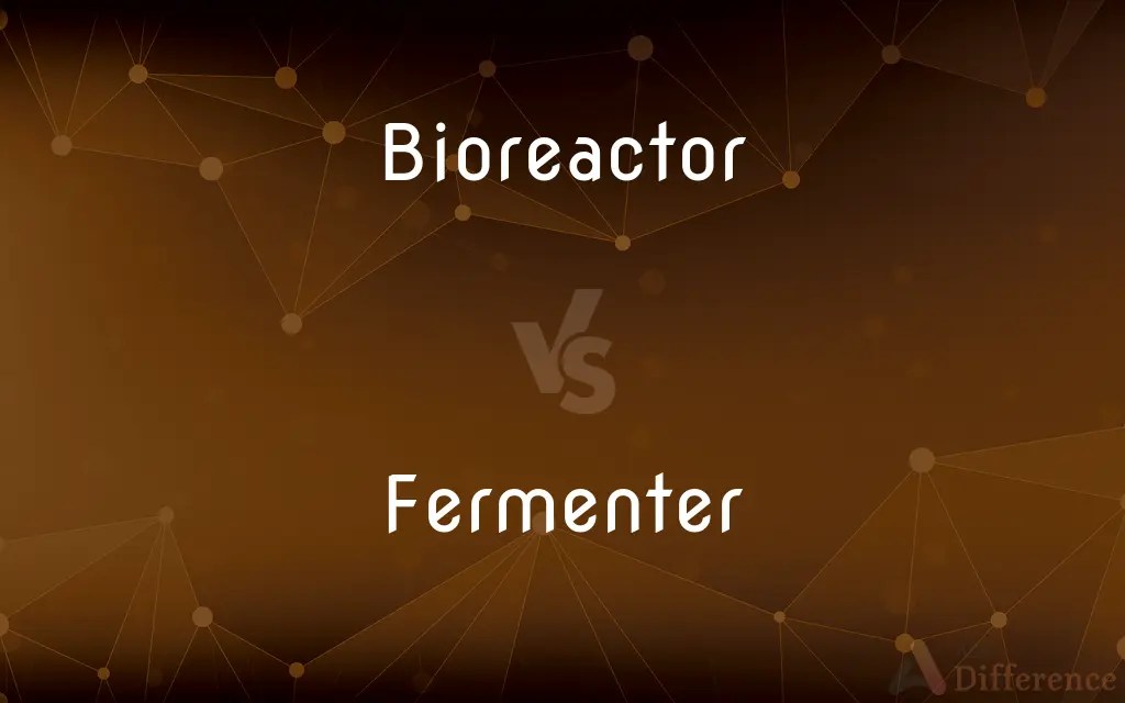 Bioreactor vs. Fermenter — What’s the Difference?