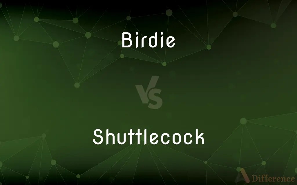 Birdie vs. Shuttlecock — What’s the Difference?