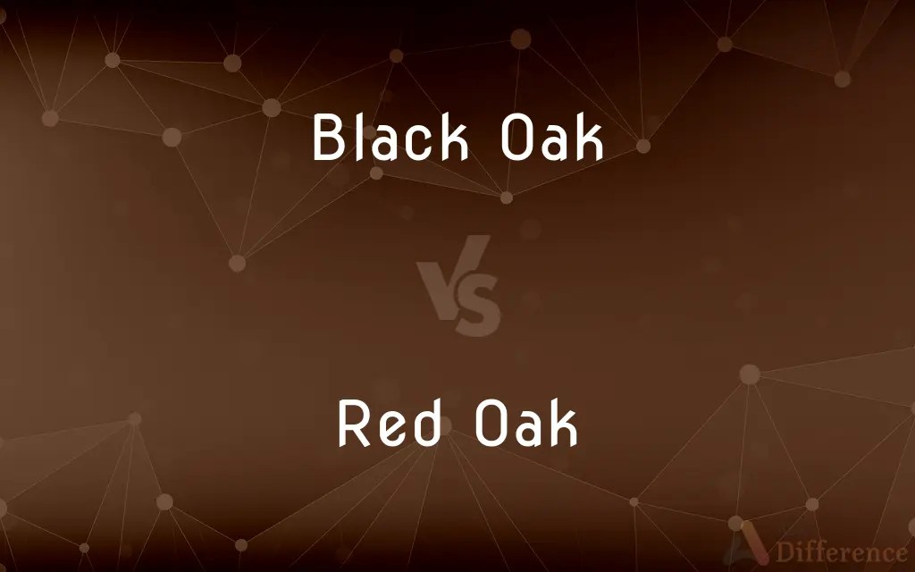Black Oak vs. Red Oak — What’s the Difference?