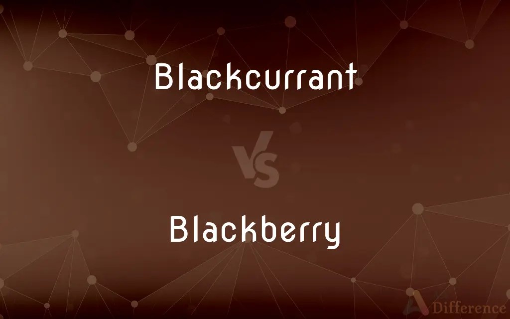 Blackcurrant vs. Blackberry — What’s the Difference?