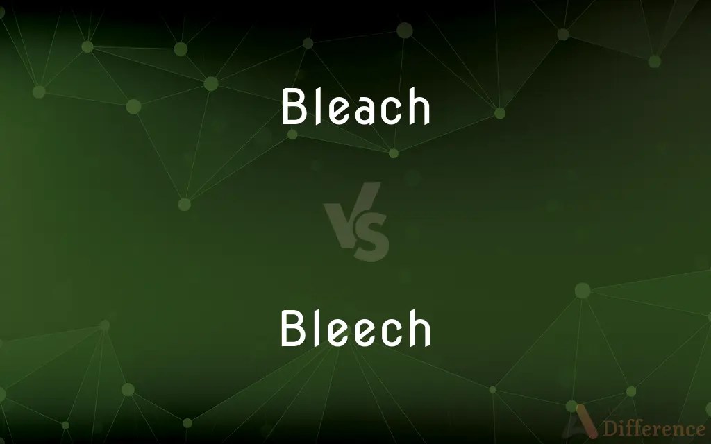Bleach vs. Bleech — Which is Correct Spelling?