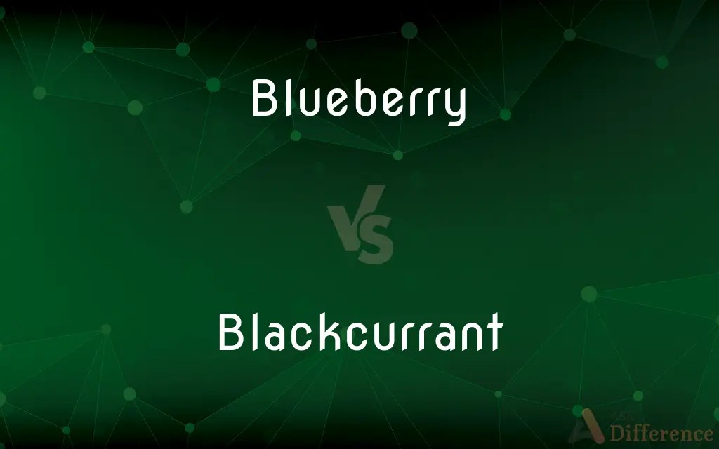 Blueberry vs. Blackcurrant — What’s the Difference?