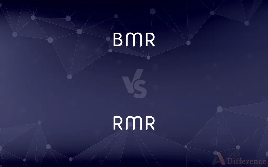 BMR vs. RMR — What’s the Difference?
