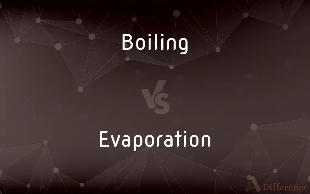 Boiling vs. Evaporation — What’s the Difference?