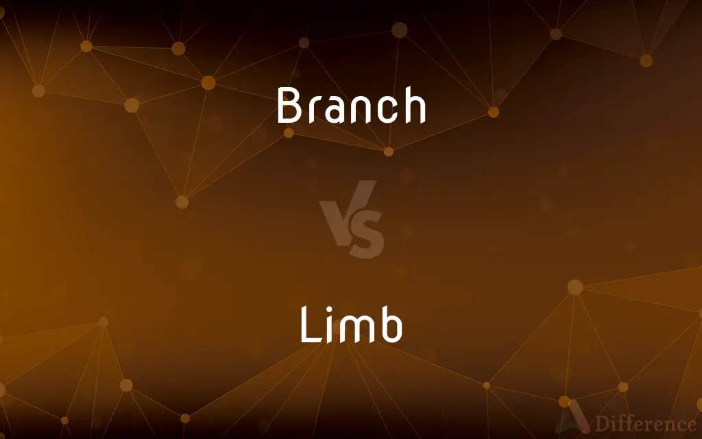 Branch vs. Limb — What’s the Difference?