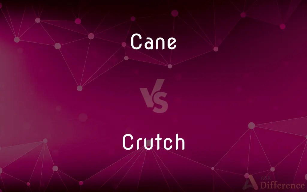 Cane vs. Crutch — What’s the Difference?