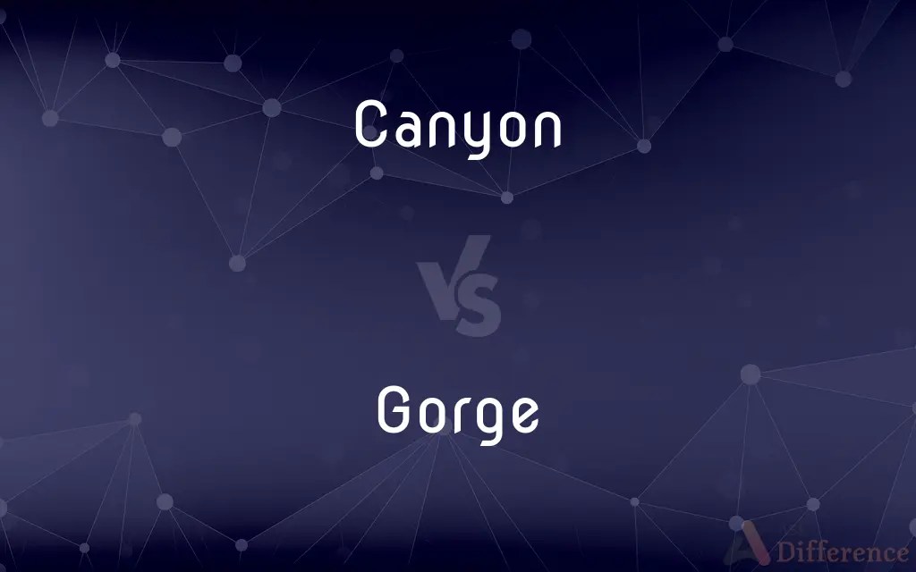 Canyon vs. — What’s the Difference?