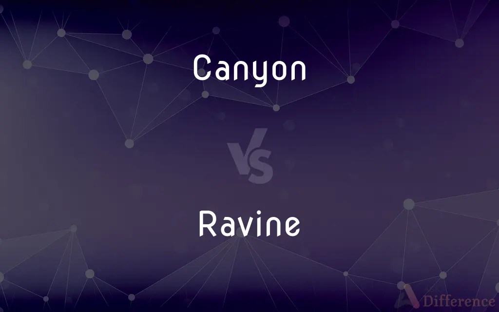 Canyon vs. Ravine — What’s the Difference?
