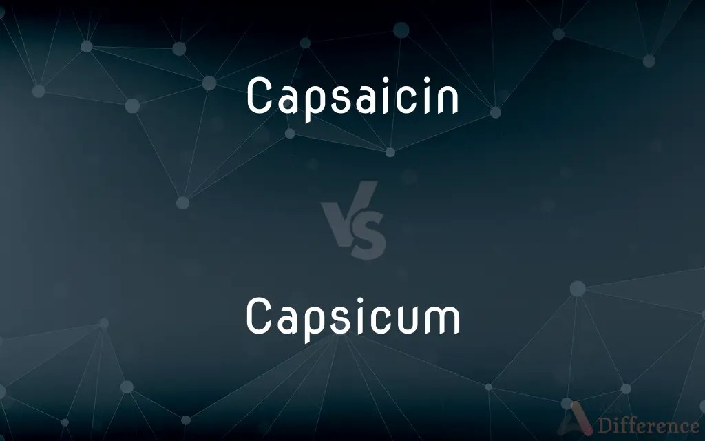Capsaicin vs. Capsicum — What’s the Difference?