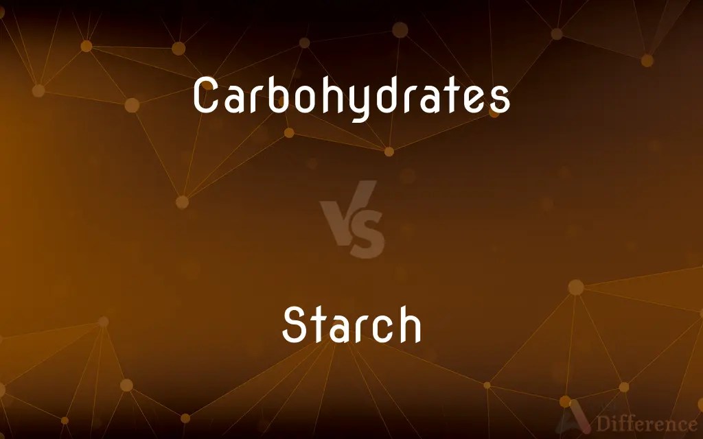 Carbohydrates vs. Starch — What’s the Difference?