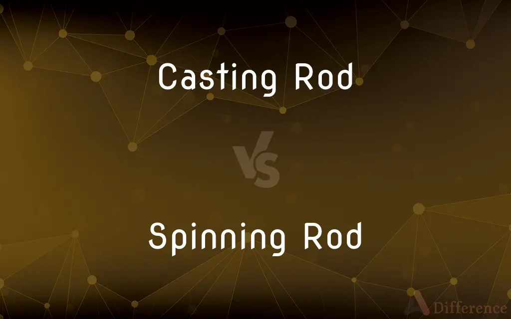 Casting Rod vs. Spinning Rod — What’s the Difference?