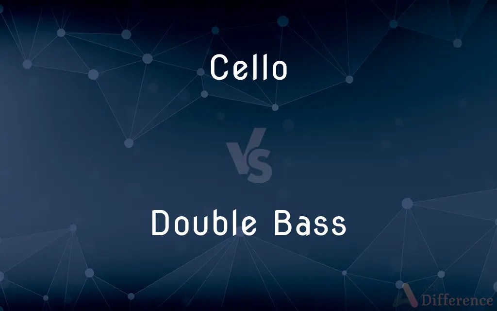 Cello vs. Double Bass — What’s the Difference?