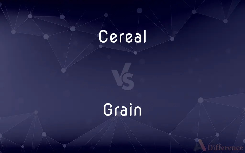 Cereal vs. Grain — What’s the Difference?