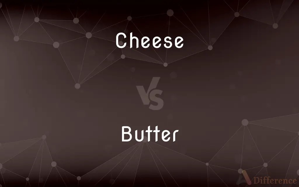 Cheese vs. Butter — What’s the Difference?