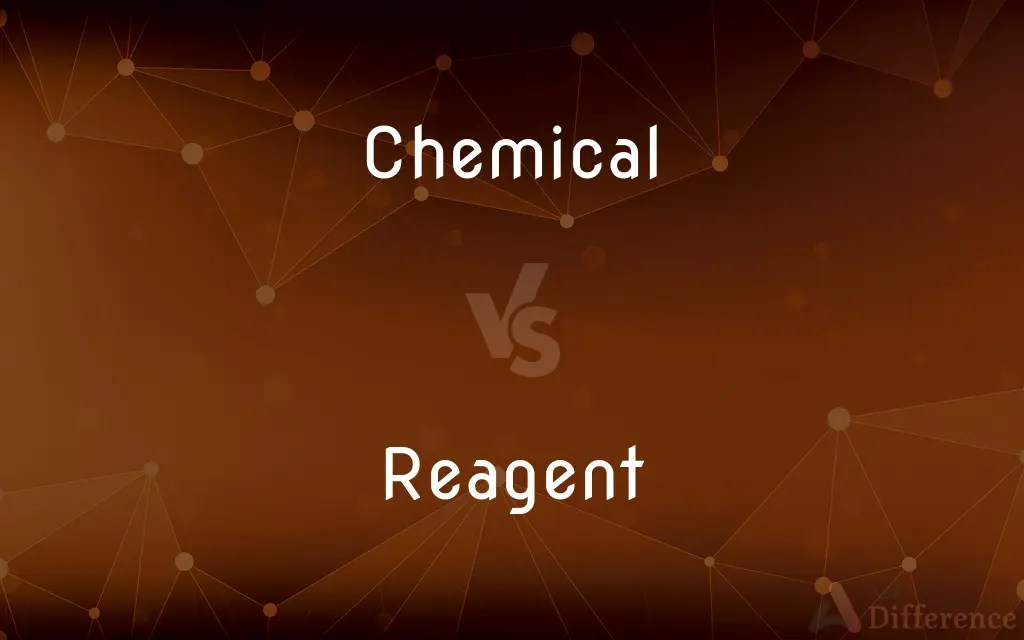 Chemical vs. Reagent — What’s the Difference?