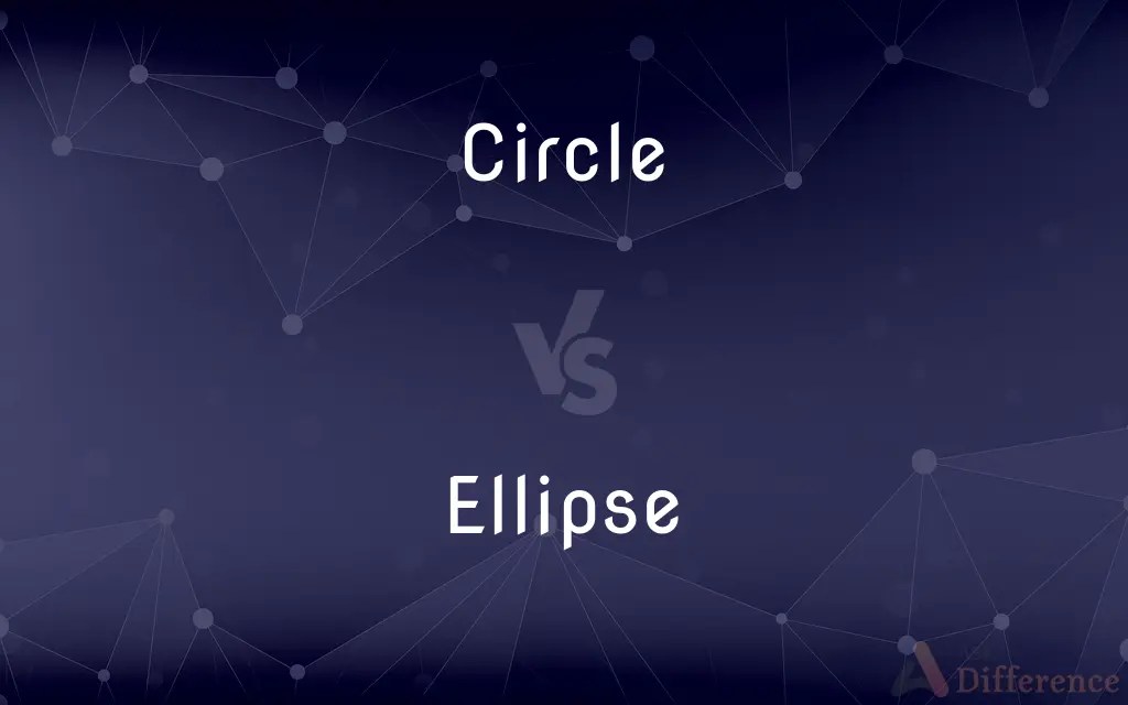 Circle vs. Ellipse — What’s the Difference?