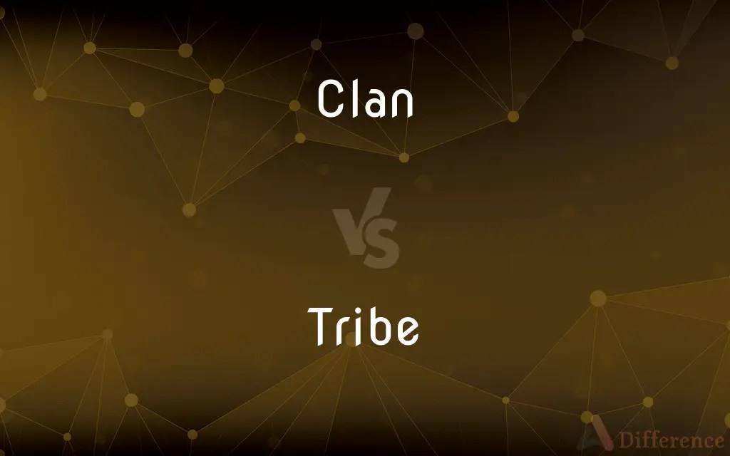 Clan vs. Tribe — What’s the Difference?