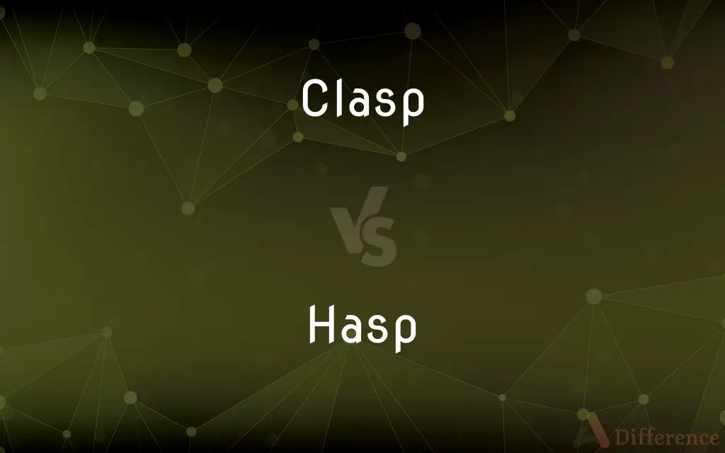 Clasp vs. Hasp — What’s the Difference?