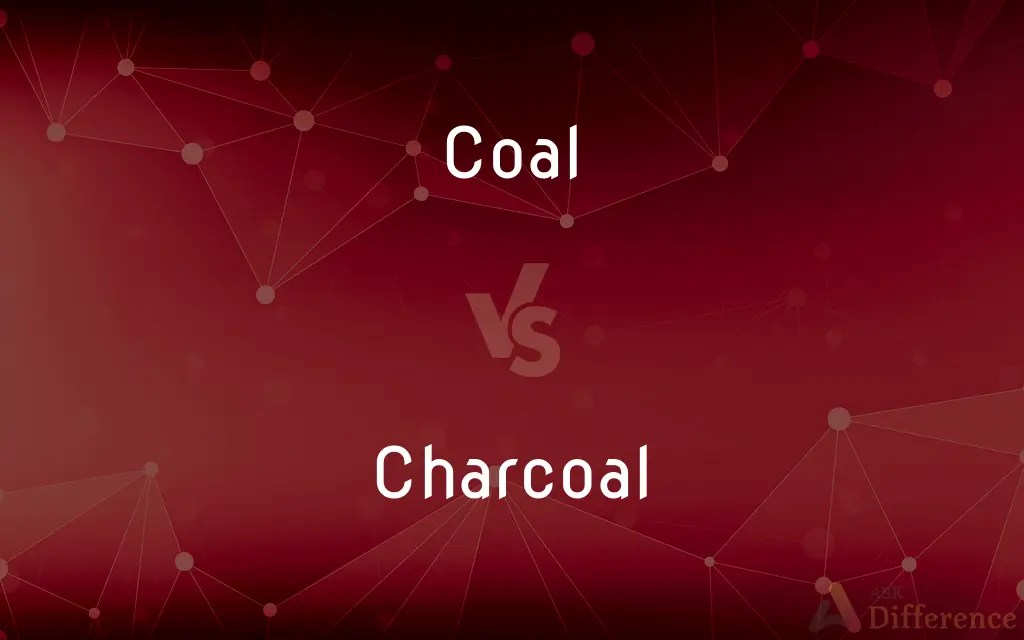 Coal vs. Charcoal — What’s the Difference?