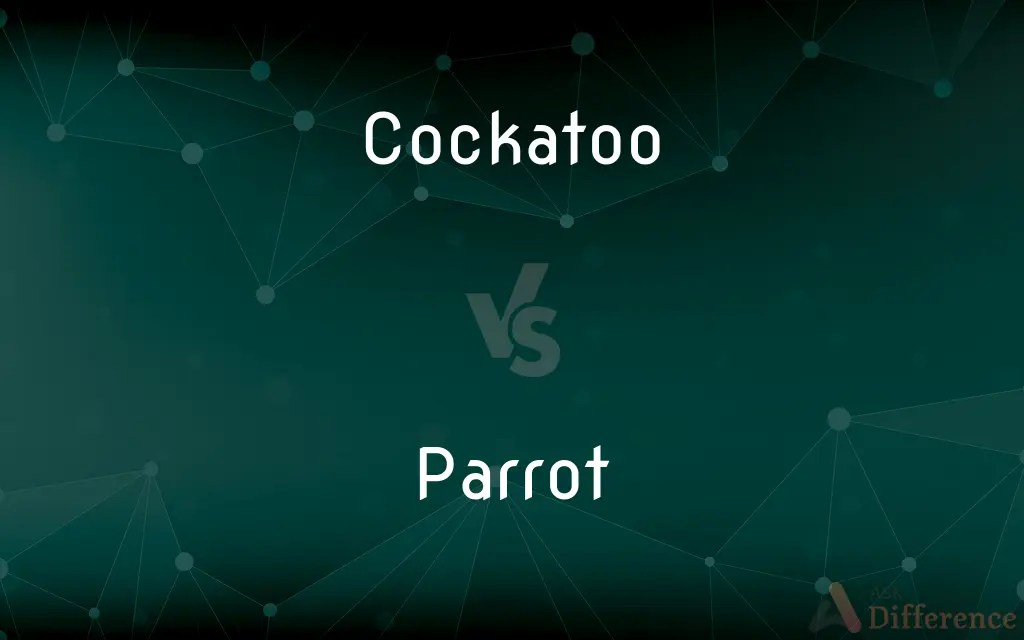 Cockatoo vs. Parrot — What’s the Difference?