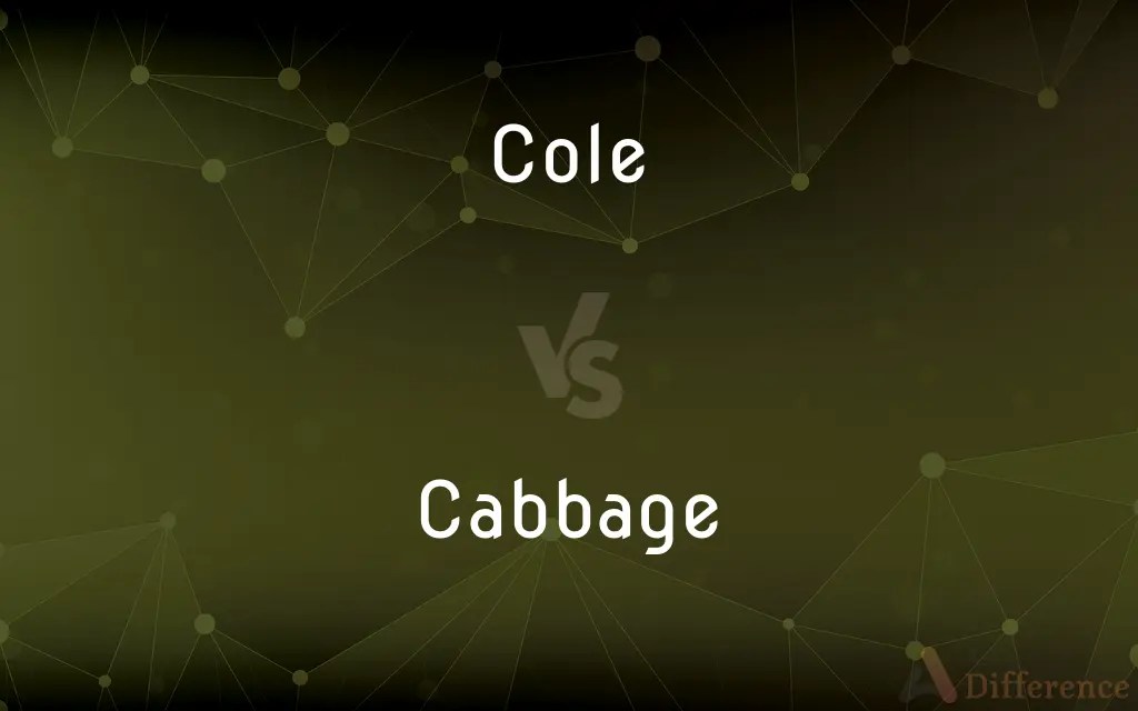 Cole vs. Cabbage — What’s the Difference?