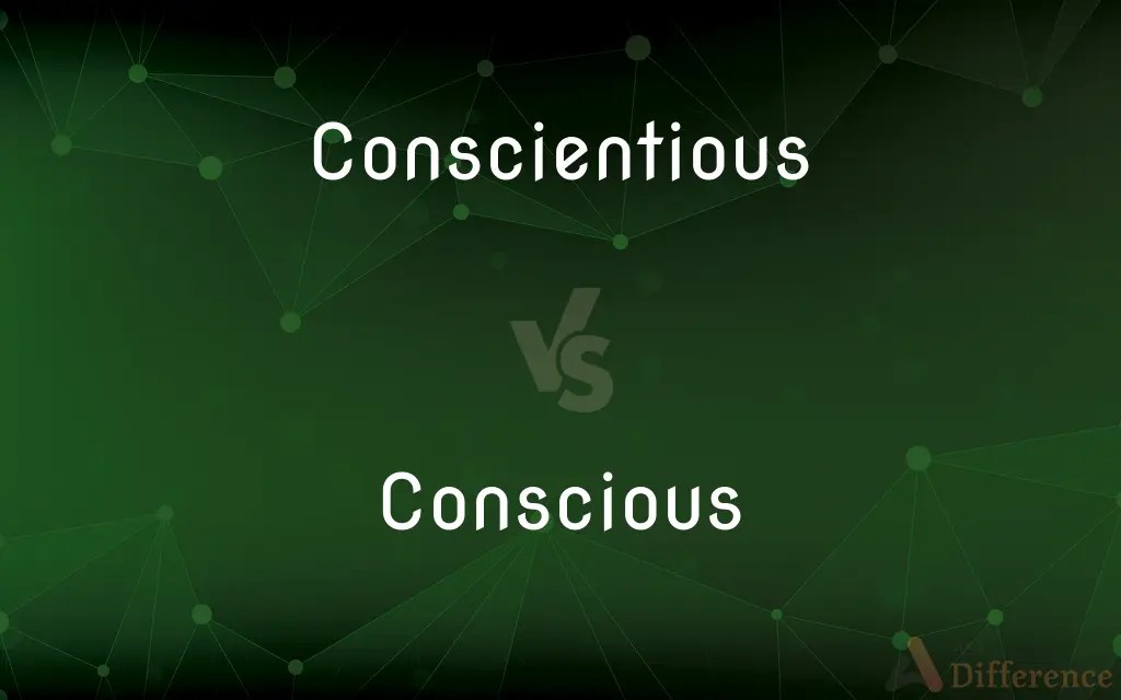 Conscientious vs. Conscious — What’s the Difference?