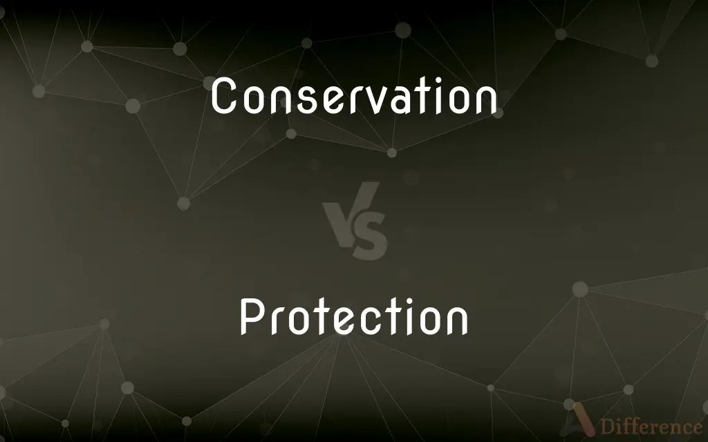 Conservation vs. Protection — What’s the Difference?