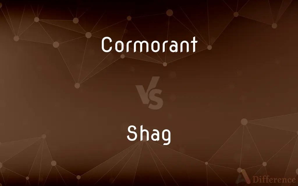 Cormorant vs. Shag — What’s the Difference?