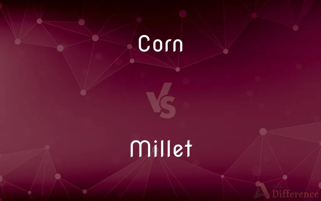 Corn vs. Millet — What’s the Difference?