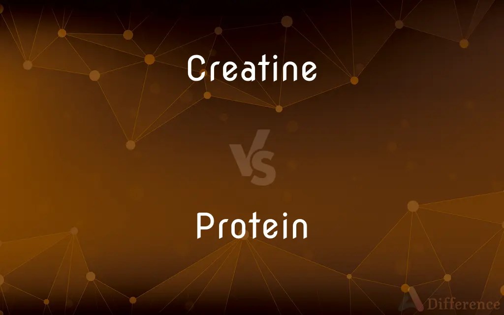Creatine vs. Protein — What’s the Difference?