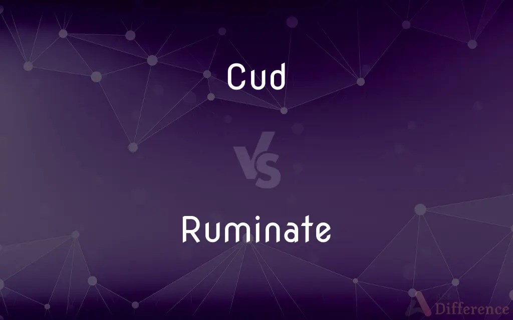 Cud vs. Ruminate — What’s the Difference?