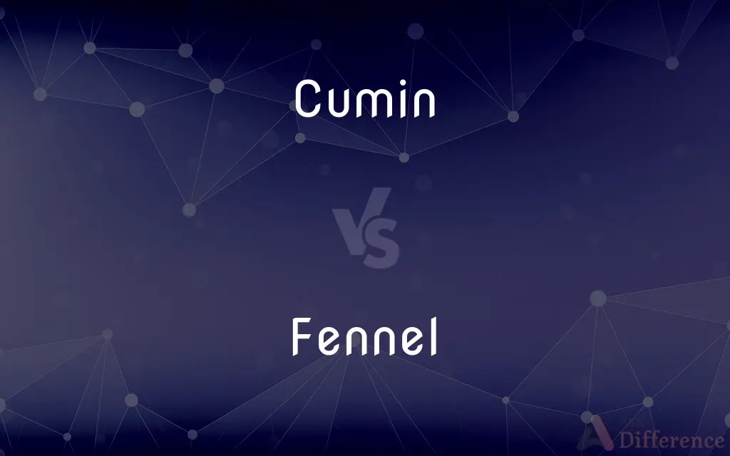 Cumin vs. Fennel — What’s the Difference?