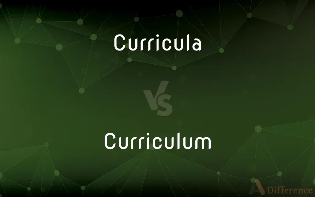 Curricula vs. Curriculum — What’s the Difference?