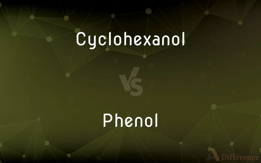 Cyclohexanol vs. Phenol — What’s the Difference?