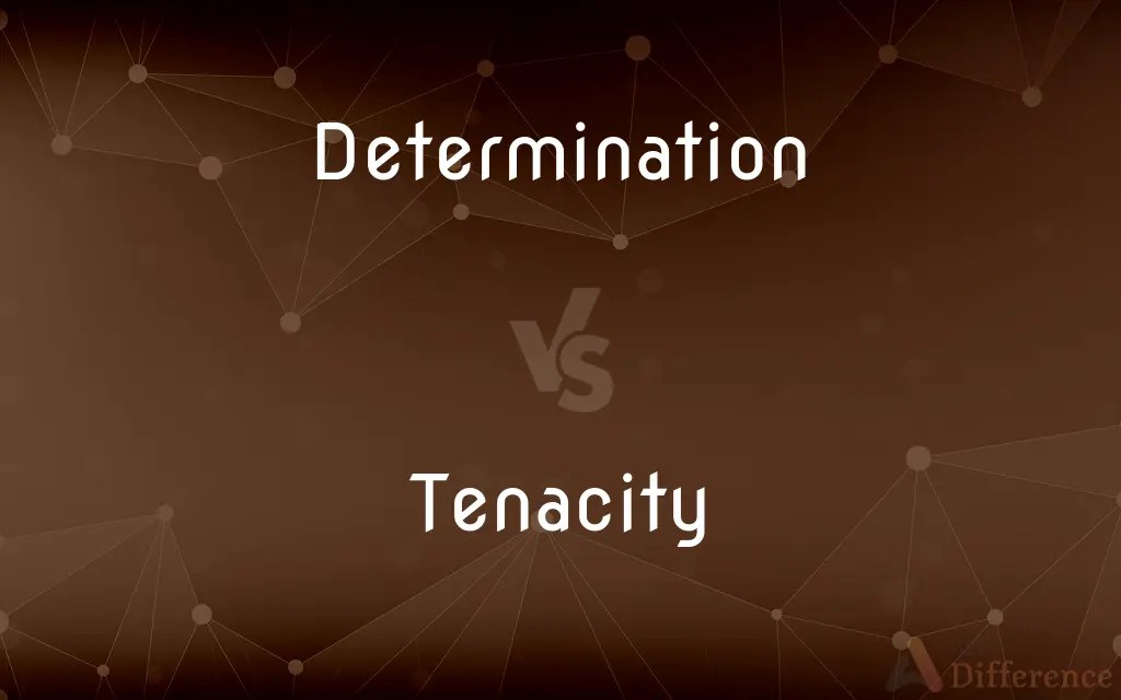 Determination vs. Tenacity — What’s the Difference?