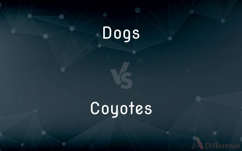 Dogs vs. Coyotes — What’s the Difference?